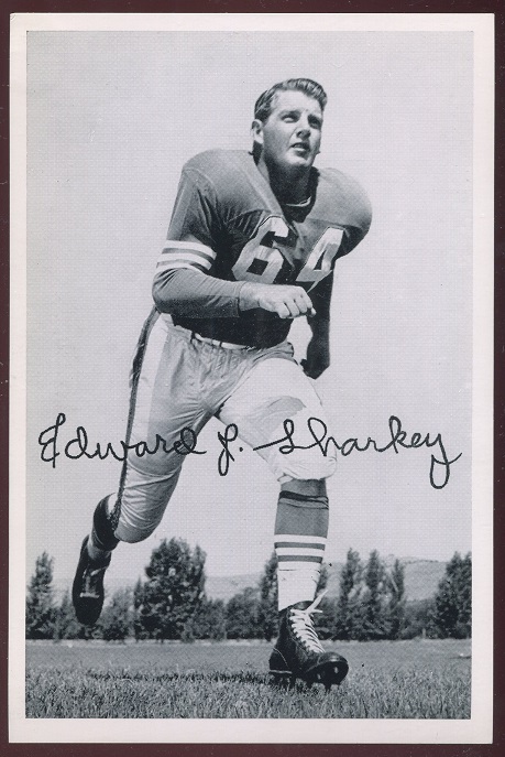 1956 49ers Team Issue #28 - Ed Sharkey - ex